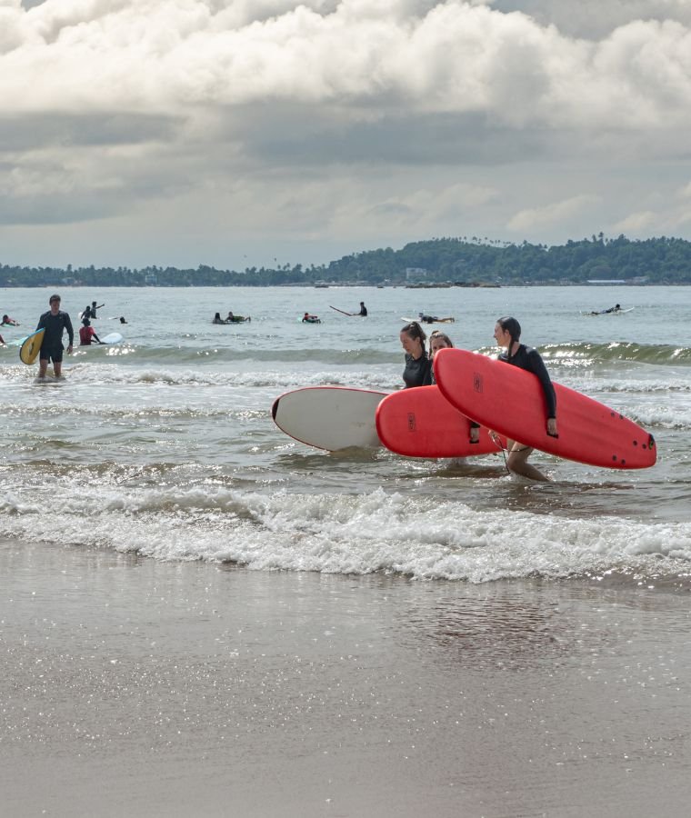 Surf & Sail