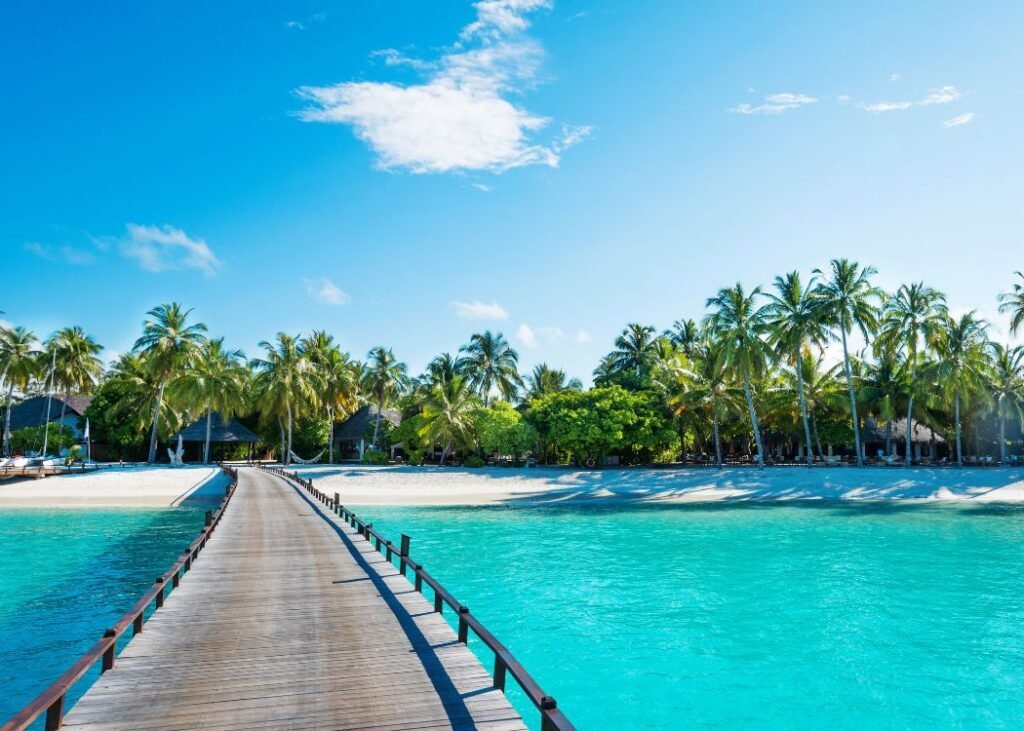 Wooden jetty leading to a palm-fringed Maldivian island