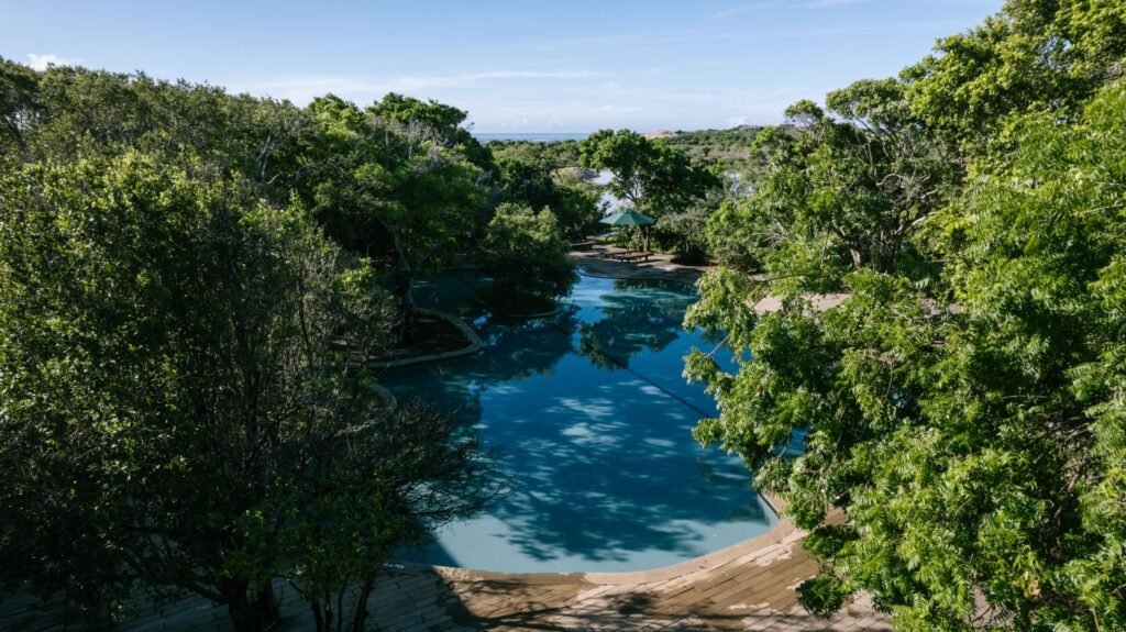 River winding through the jungle near Cinnamon Wild Yala