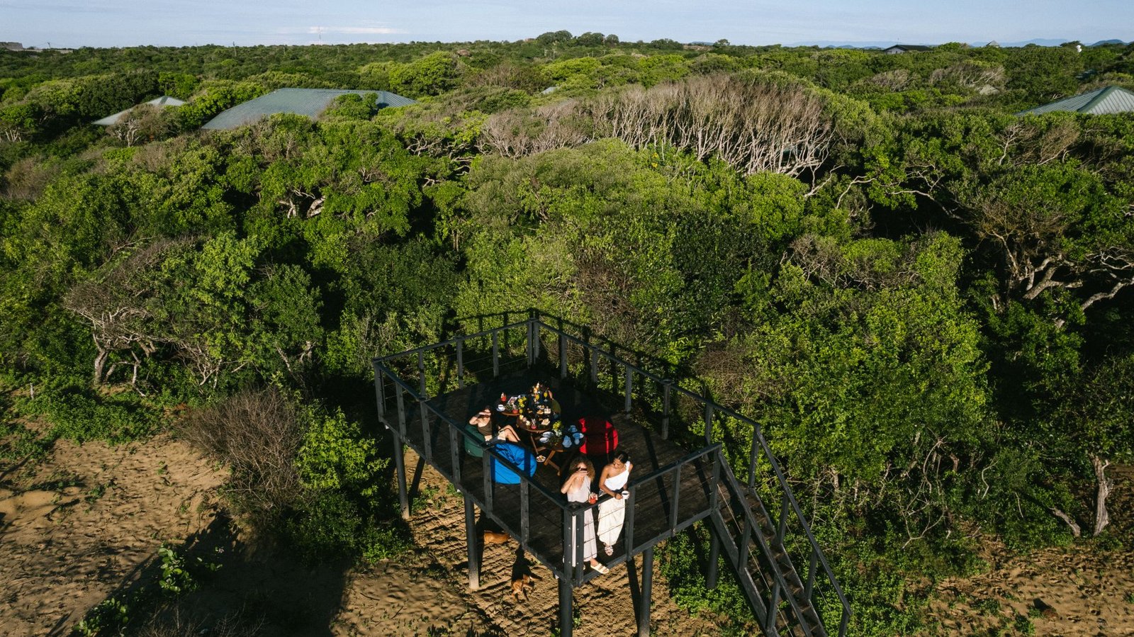 Guests on the boardwalk at Cinnamon Wild Yala