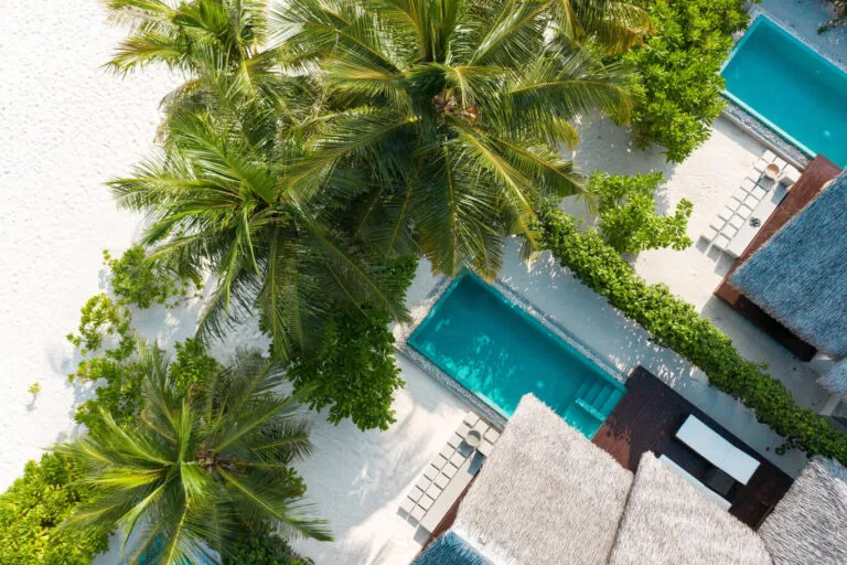 Aerial view of a villa pool among the palms at Heritance Aarah