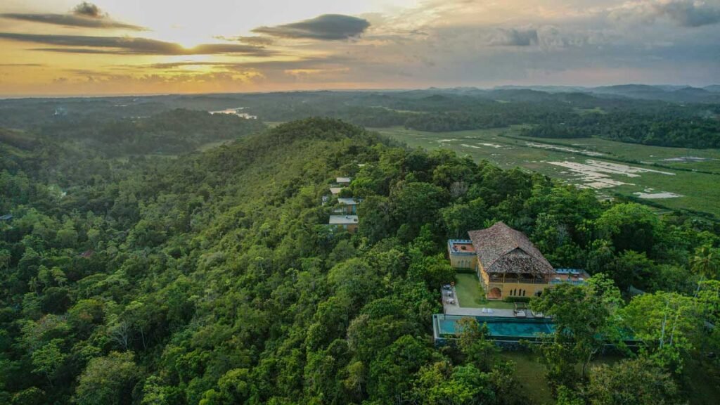 Aerial view of Malabar Hill lodge above jungle and paddy fields