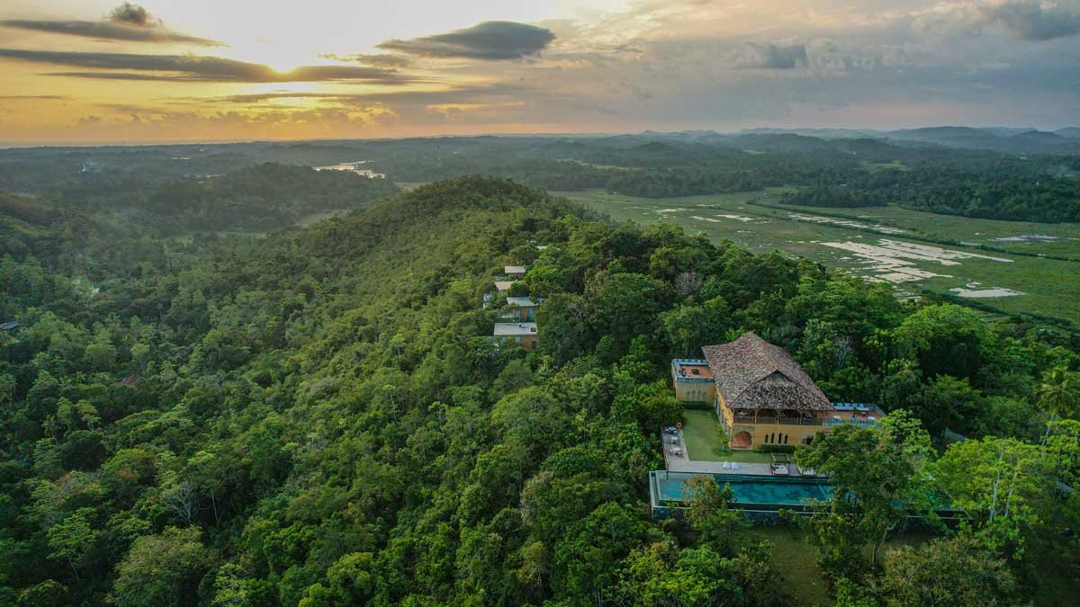Aerial view of Malabar Hill lodge above jungle and paddy fields