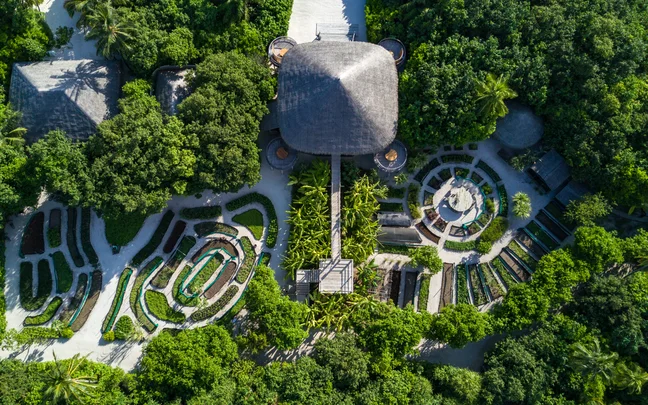 Aerial view of a thatched villa among the trees at Six Senses Laamu