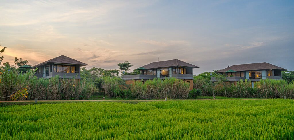 Villas overlooking a paddy field at Water Garden Sigiriya